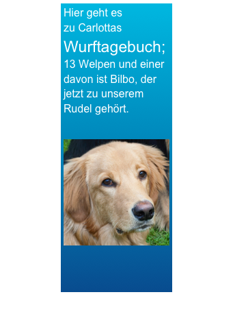 Hier geht es 
zu Carlottas Wurftagebuch;13 Welpen und einer davon ist Bilbo, der jetzt zu unserem Rudel gehört.

￼
